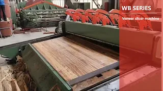 Horizontal Veneer Slicer for plywood