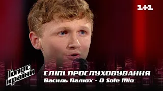 Василий Палюх — "O Sole Mío" — выбор вслепую — Голос страны 12