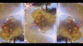 Goldfish Pond Music Video
