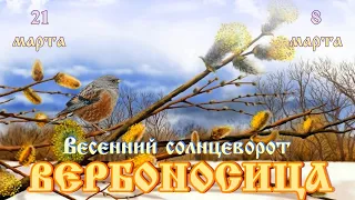 Вербоносица в Весенний солнцеворот