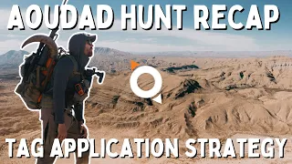 AOUDAD HUNT RECAP & TAG APPLICATION STRATEGY w/ HUNTER MCWATERS