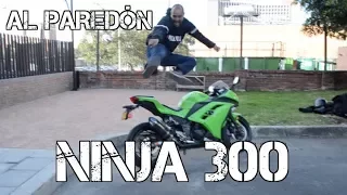 AL PAREDON KAWASAKI NINJA 300 #FULLGASS