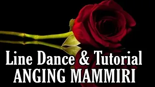 ANGING MAMMIRI - Line Dance (Dance & Tutorial)