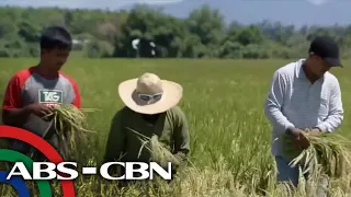 Dateline Philippines | ANC (6 October 2023)