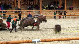 Strong horses🐴 Hniezdne 2019 🐴2. časť