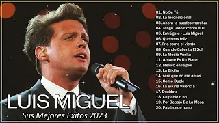 LUIS MIGUEL (20 GRANDES EXITOS) SUS MEJORES CANCIONES - LUIS MIGUEL 90s SUS EXITOS ROMANTICOS💞💞