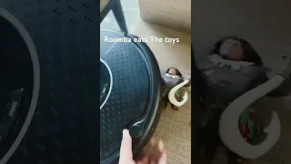 Roomba vacuum the toys