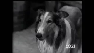 Lassie   Epis 52   The Vet   Sea 2, 26 03041956