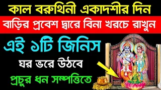 কাল বরুথিনী একাদশীর দিন বাড়ির প্রবেশদ্বারে রাখুন এই 1টি জিনিস ঘর ভরে উঠবে প্রচুর ধন-সম্পত্তিতে।