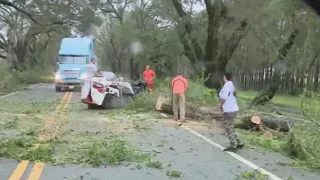 Idalia leaves destruction in North Florida