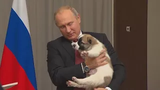 Vladimir Putin Melts Over Puppy He Received for His Birthday