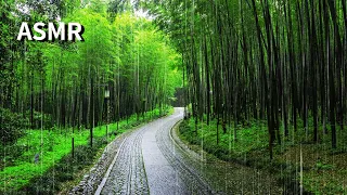 Rainy Scenery - Bamboo road in the rain(비 내리는 대나무 길)