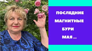 Магнитные бури в конце мая ! Это еще не все …