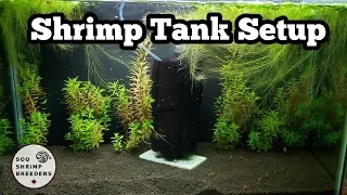 Shrimp Tank Setup [Caridina]