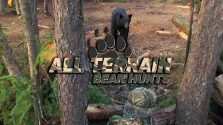 Bear Hunting | All Terrain Bear Hunts | Manitoba Canada