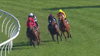 Redzel winning the Gr 3 Concord Stakes