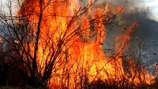 Центр Балти в диму, по вулицях літає попіл