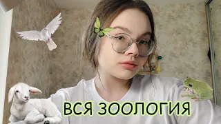 ВСЯ ЗООЛОГИЯ для ОГЭ из Рохлова