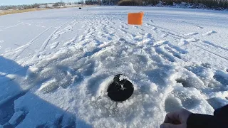 Первый лед 2021-2022  Рыбалка на жерлицы!