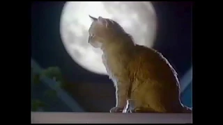 9 Lives Cat Food Morris 1986