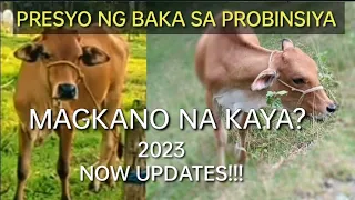 PRESYO NG BAKA NOW UPDATES 2023 | MAGKANO NA KAYA? | rECOrd Life TV