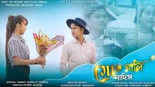 Mok Gali Na Dis || Rajbanshi Dj Song || Puja & KR.Prodip || AD Rajbanshi Cinema !