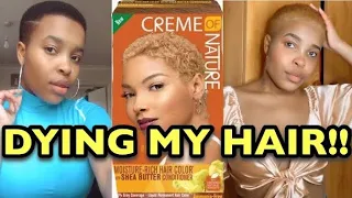 DYING MY NATURAL HAIR BLONDE|CREME OF NATURE LIGHT GOLDEN BLONDE | TUTORIAL