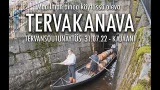 Maailman ainoa käytössä oleva tervakanava Kajaanissa - Tervansoutunäytös 31.7.2022, Kajaani - Kainuu