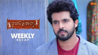 Nayana Thara | Ep 379 - 384  | Weekly Recap | Udaya TV | Kannada Serial