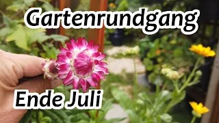 Gartenrundgang Juli | Garten im Juli |