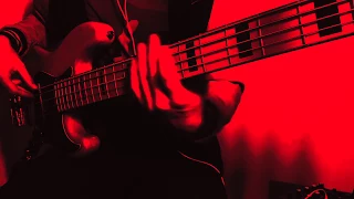 Хаски-Крот 17 Bass Cover.