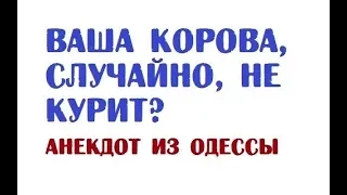 Ваша корова, случайно, не курит? | Анекдот из Одессы