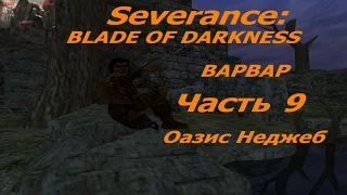 Профессиональное прохождение Blade of Darkness Варвар ур9 Оазис Неджеб