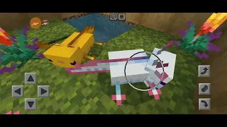 строим деревню в Minecraft