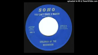 Children Of the Mushroom You Can't erase a Mirror (Orig. 60's 45 Moody Punkadelic Monster)