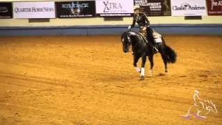 NRHA Futurity 2013 - Mirjam Stillo's First Go