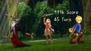 DFFOO GL [Swordmaiden - Arciela Event] Arciela showcase 999k score