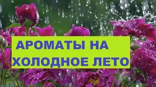 ТОП-5 АРОМАТОВ НА ДОЖДЛИВОЕ ЛЕТО//моя парфюмерия