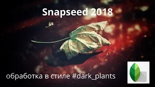 Snapseed: как обработать в стиле #dark_plants