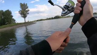 Zanderangeln am Rhein mit Gummifisch - Fishing with Lee