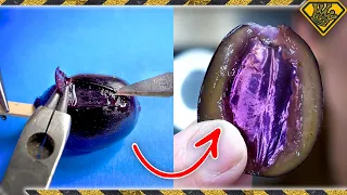 We Did Surgery on a Really Weird Grape