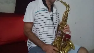 brincar de amar (mastruz com leite) sax alto