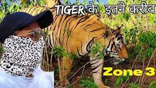 T120 Tiger ( Zone 3) | Jungle Safari | Ranthambore National Park | Ranthambore Tiger Safari