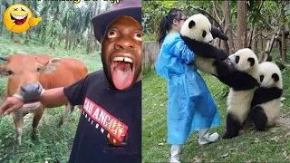 Best Funny Videos  - Try to Not Laugh 😆😂🤣#63