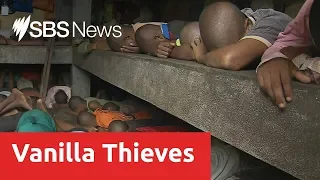 Madagascar's children prisoners convicted of stealing vanilla