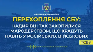 Кадирівці так захопилися мародерством, що крадуть навіть у російських військових