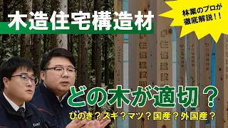 【木造住宅構造材】住協グループが使用する構造材について林業のプロが徹底解説！