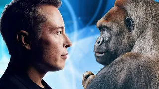 Elon Musk Wired a Monkey To Play Video Games | Neuralink Implanted Brain Chip | Planet of The Apes