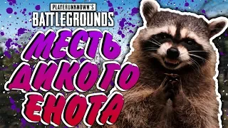 [1440p] МЕСТЬ ДИКОГО ЕНОТА - PLAYERUNKNOWNS'S BATTLEGROUNDS | PUBG STREAM