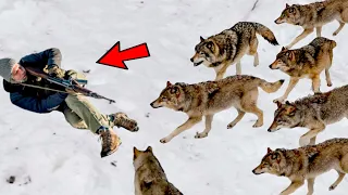 Когда волки окружили раненого мужчину, произошло нечто невероятное...